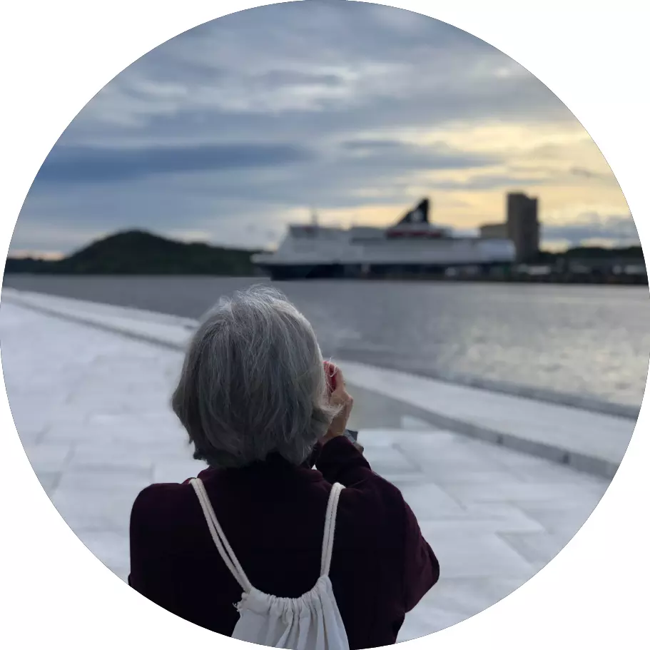 Norway fjords small group tour with mountain and waterfall views